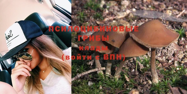 ALPHA PVP Верея