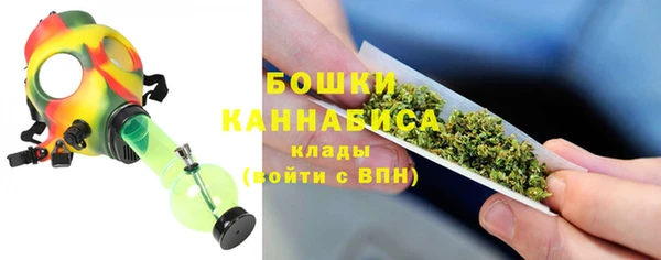 экстази Бородино