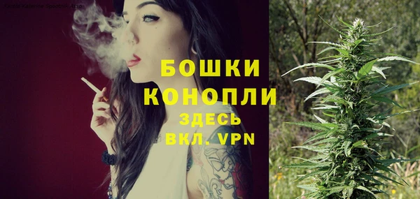 экстази Бородино